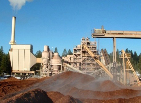 viernes sector biomasa