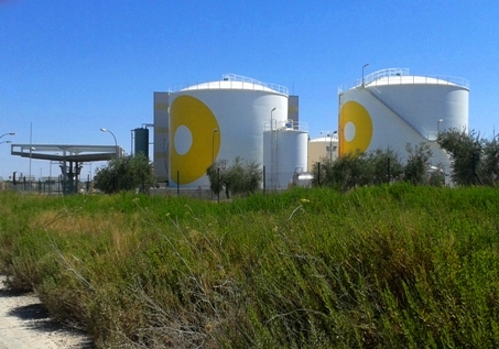 PLANTA BIODIESEL MAIMONA