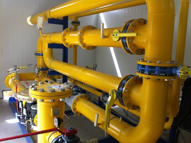 ERM de doble línea de una Instalación Industrial en fábrica tomatera