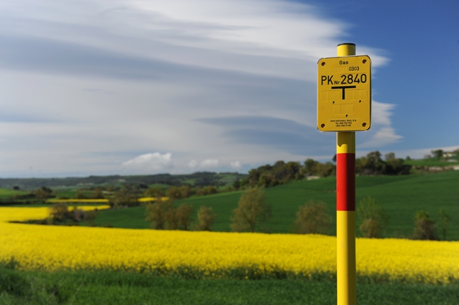 Hito-Terreno restituido