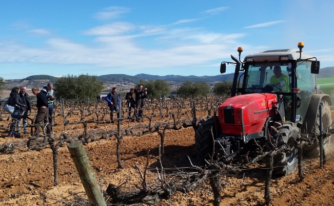 Técnicos de Cavas Vilarnau y de Codorniu, empresas que participan en el Proyecto, comprueban sobre el terreno la recogida y trituración de los sarmientos