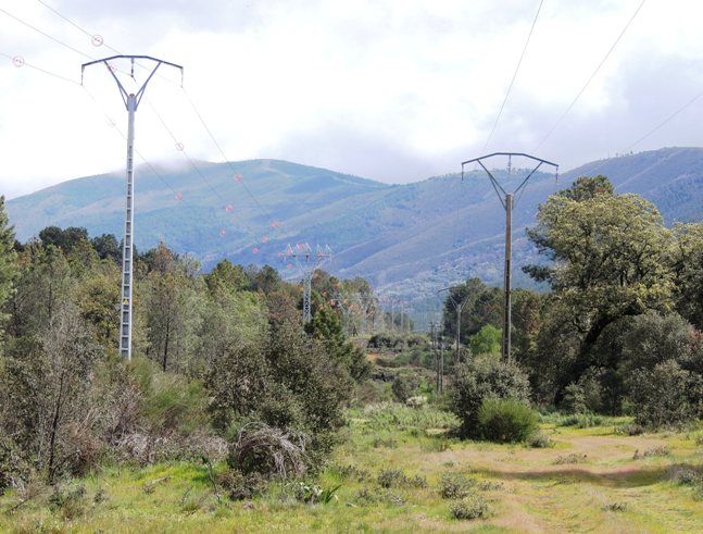 Sustitución línea alta tensión en Sierra de Gata