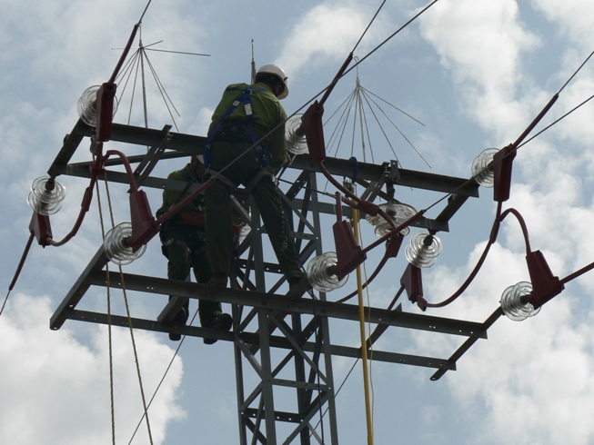 iberdrola Protección Avifauna