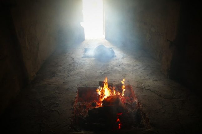 biocombustible-pimenton-3-900x600